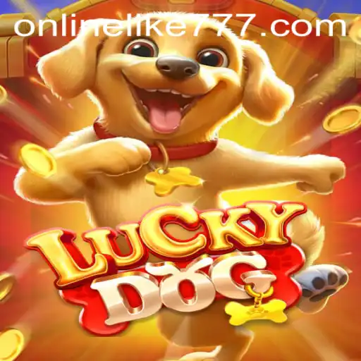 Unlocking the Thrills of LuckyDog with LIKE777